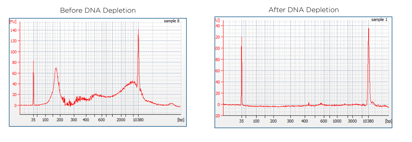 DNA depletion process: before and after