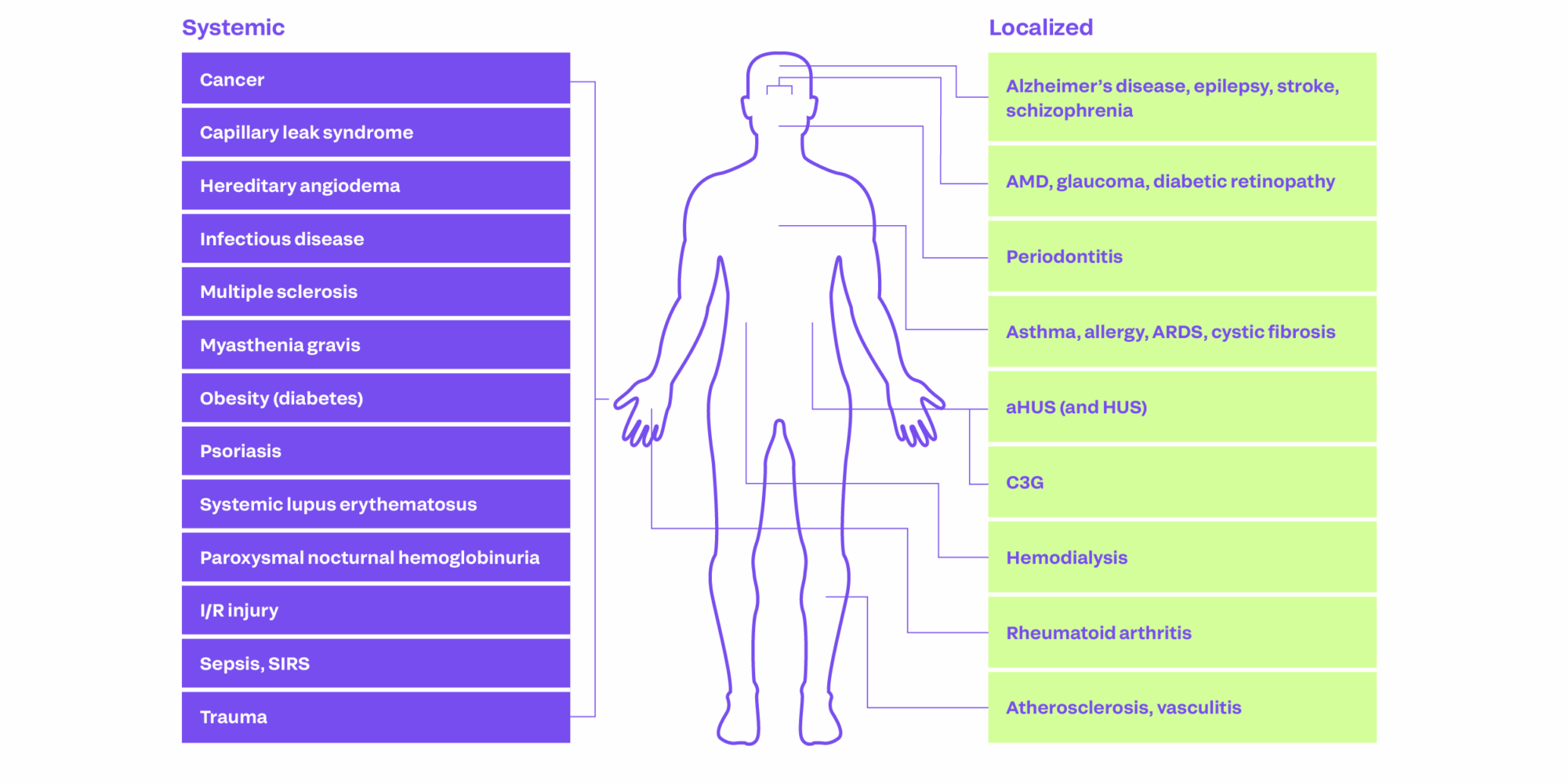 Complement System