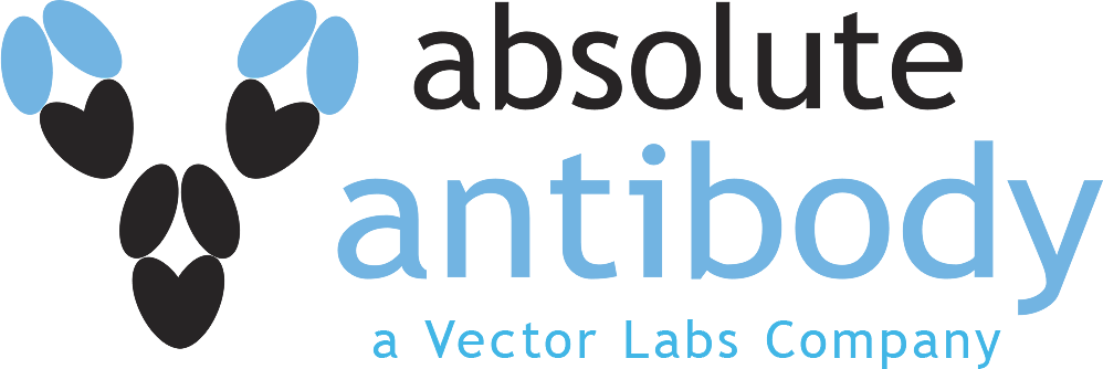 Absolute Antibody